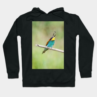 European bee-eater (Merops apiaster) Hoodie